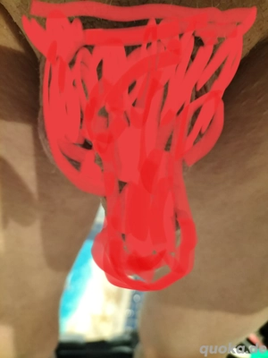 Er 59 verheiratet sucht aufgeschlossen Frau für Sex und Fotografie!!