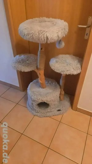 !! Schöner Naturkratzbaum mit 2 Spielbällen !! Wie neu !!