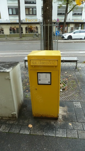 i'm just a lonely boy  Bild 6