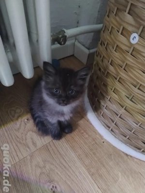 Ein Mädchen darf demnächst ausziehen!