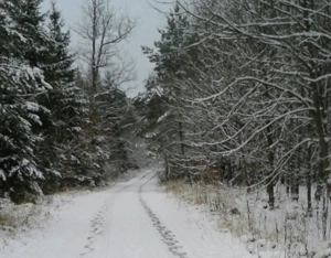 Suche Unterstützung für mein Ponx