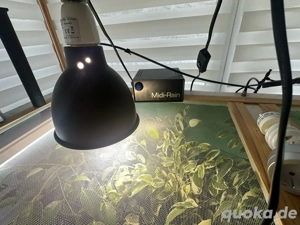 XXL Terrarium mit viel Zubehör Bild 4