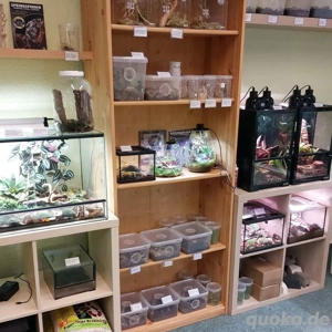 Terraristik, Zimmerpflanzen, Aquarienzubehör, Insekten, Frösche... 