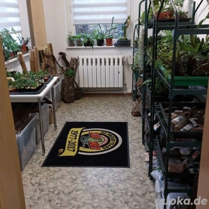 Terrarien, Flaschengärten - Zimmerpflanzen - Dekoration - Technik - Aquaristikzubehör  Bild 6