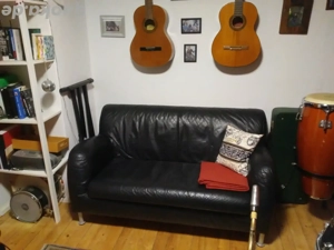 2-Sitzer Ledercouch 