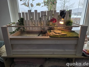 Wasserschildkröte mit Terrarium 