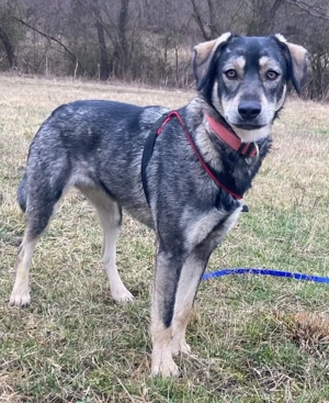 Minou - zarte Seele sucht leise Menschen
