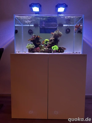 Nyos Opus 300 Pro G2 als Set mit Besatz