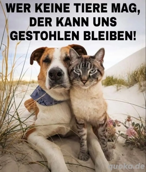 Spenden für den Tierschutz