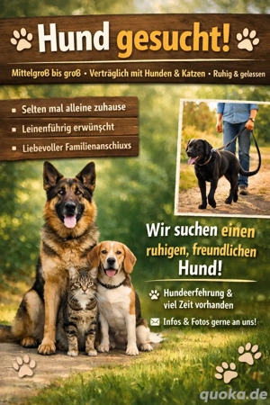 wir suchen einen mittelgroßen Großen Hund 