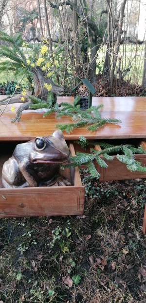 Lass deine geheimen Träume wahr werden 