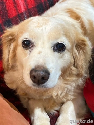 SUSHI auf Körbchensuche