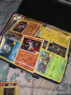 Pokemon Boxen