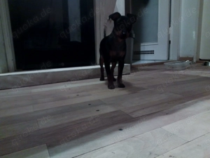 Jüngst Sucht zu Hause