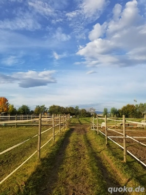Moderne Reitanlage - Paddockboxen frei ab 01.04.2026