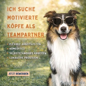 Tierliebhaber Nebenjob Hunde Katzen