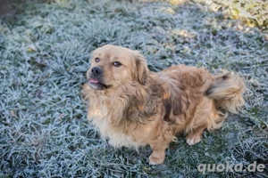 *NAMU* - Ich bin lieb, sozial und zugänglich, aktiv und verspielt