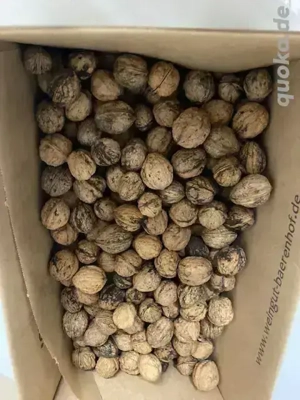 Walnüsse aus eigenem Garten, 2 kg, naturbelassen mit Schale