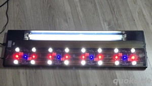       Zoo Med ReptiSun Led UVB Terrarium Leuchte - Lampe      