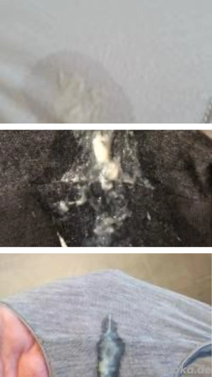 Dreckige Unterwäsche 