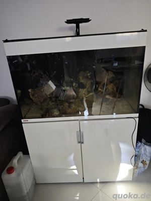 Meerwasseraquariumit Zubehör 
