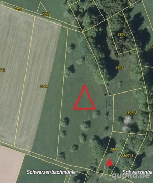 Wiese Grundstück Bienenstellplatz