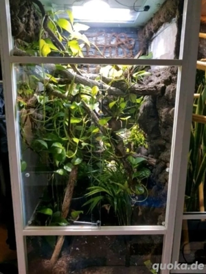 Terrarium Eigenbau