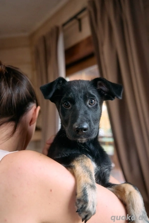 Guy sucht sein Traum zuhause