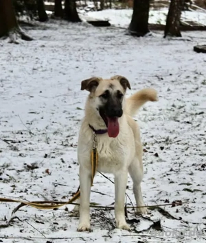 Gibst du Snezha einen warmen Platz?!