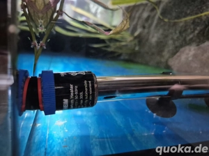 Juwel 450 Rio in Weiß mit Unterschrank 