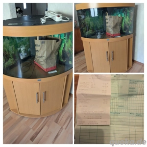 Juwel Eckaquarium trigon 190, schenkellänge 69,5cm, gewölbte Front