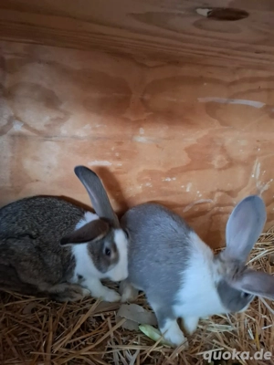 Deutsche Riese Mädchen