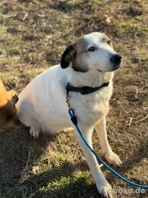 Gemütliche Gundula - ist ausgeglichen und entspannt
