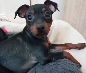 Jüngst Sucht zu Hause