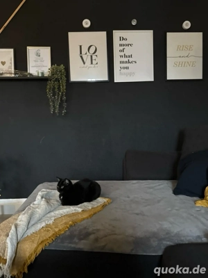 liebevolles zuhause gesucht 