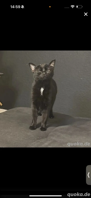 liebevolles zu Hause gesucht