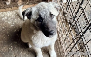 Umi - Kleine Lebensentdeckerin sucht ihre Chance