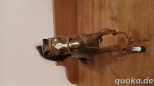 Barbie Pferd ( braun) 