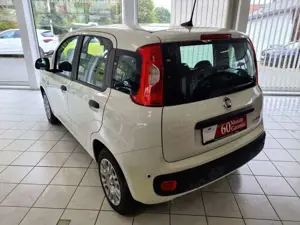 Fiat Panda Panda 1.0 GSE Hybrid Parkpilot Bild 2