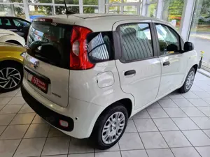 Fiat Panda Panda 1.0 GSE Hybrid Parkpilot Bild 4