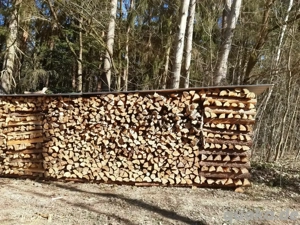 Verkaufe Brennholz Kaminholz abgelagert, getrocknet und ofenfertig Fichte,Buche kostenlose Lieferung
