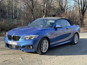 BMW 218 218d Cabrio Aut. M Sport, Cam, 18" Bild 3
