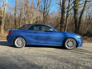 BMW 218 218d Cabrio Aut. M Sport, Cam, 18" Bild 4