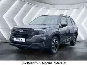 Subaru Forester 2.0ie Exclusive ACC SH CAM LED 4x4 PDC Bild 3