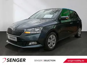 Skoda Fabia 1.0 TSI Ambition DSG SHZ Klima Bluetooth