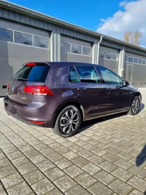 Volkswagen Golf 1.6 TDI BlueMotion Technology Lounge