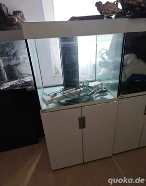 aqwarium eheim,juwel 