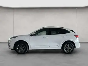 Ford Kuga 2.5 Duratec PHEV ST-LINE Techno- Winterpaket Bild 3