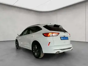 Ford Kuga 2.5 Duratec PHEV ST-LINE Techno- Winterpaket Bild 5