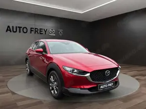 Mazda CX-30 e-SKYACTIV X Automatik Exclusive-Line
